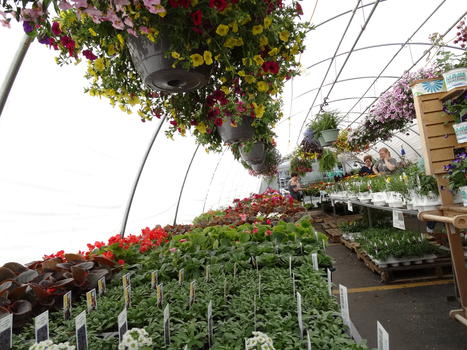 Greenhouse 2018