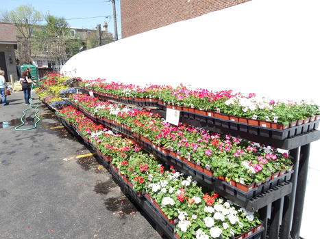 Greenhouse 2018
