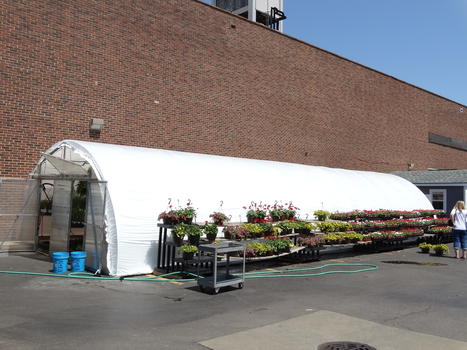 Greenhouse 2018
