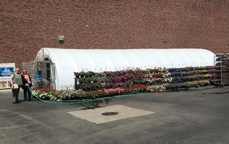 Greenhouse 2018