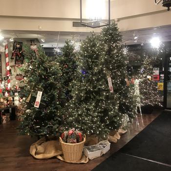 Showroom