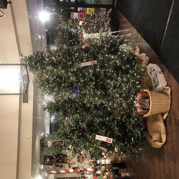 Showroom2