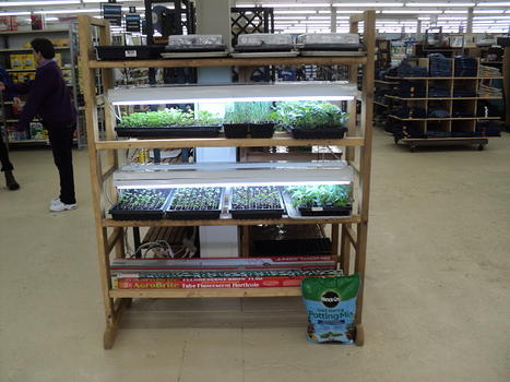Indoor Growing Display