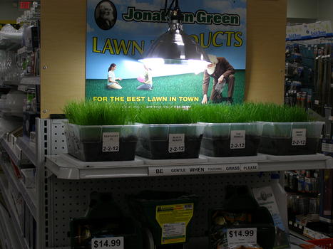 GRASS SAMPLE