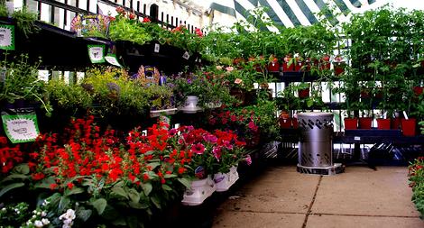 Outdoor Greenhouse