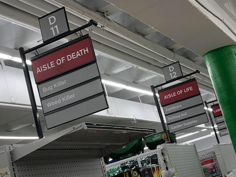 Aisle of Death