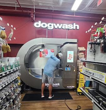 Dog Wash