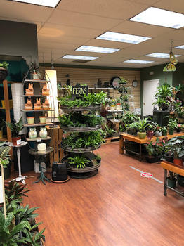 Indoor Plant Shop