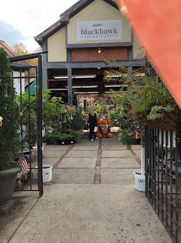 The Gardens Exterior