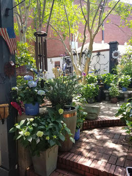 The gardens Exterior