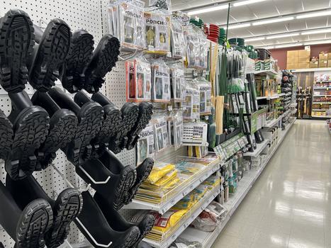Store