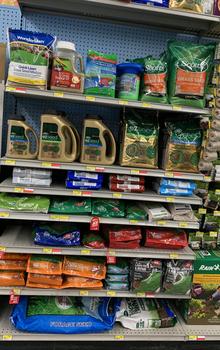 Grass Seed