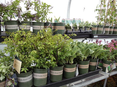Greenhouse