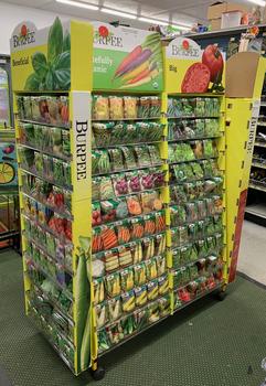 Seeds