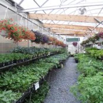 Greenhouse