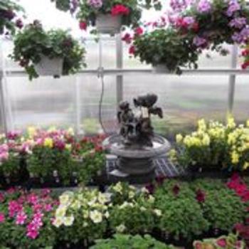 flowers 4
