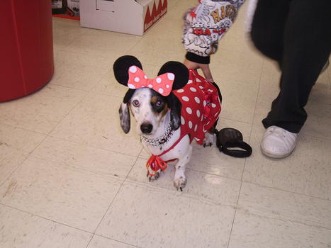 Costumes
