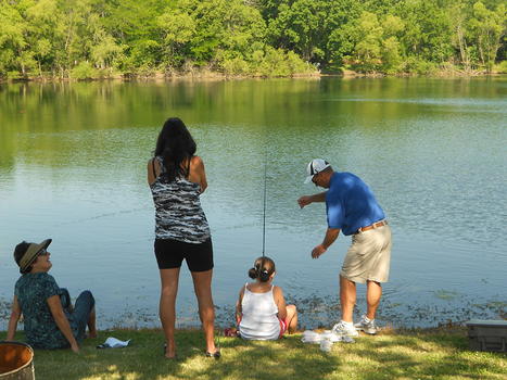 Teaching to Fish