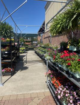 Landscapers Supply and Ace Hardware of Greer
