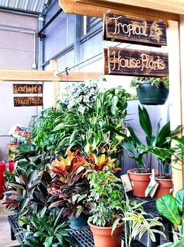 Garden Center