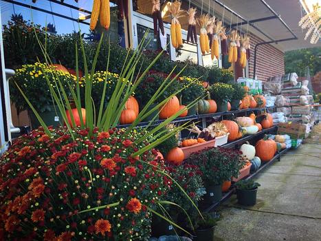 Fall