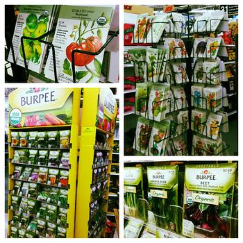 Seeds!