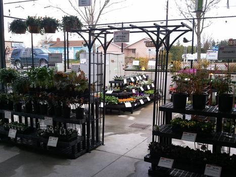 Mukilteo Ace Hardware