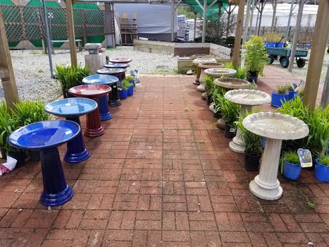 Bird Baths