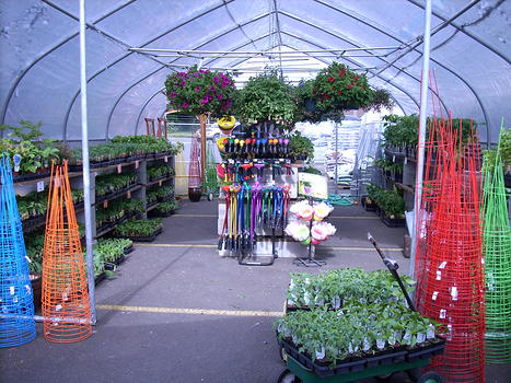 Hanging Baskets