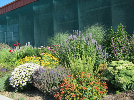 Garden Center