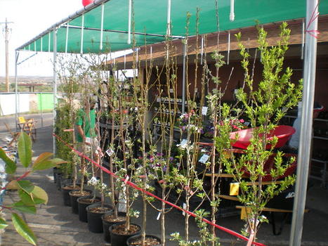 New Outdoor Center