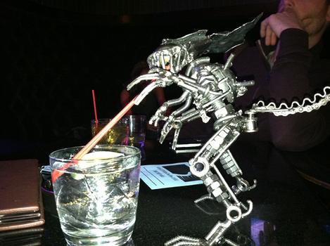Party with our Mascot