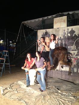 Riding the Bull