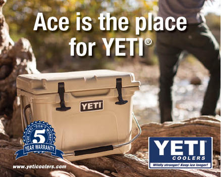 Yeti