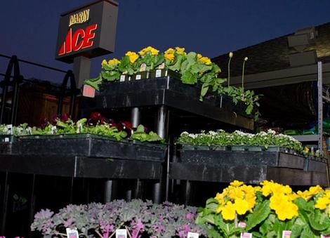 Our Garden Center (off 101)