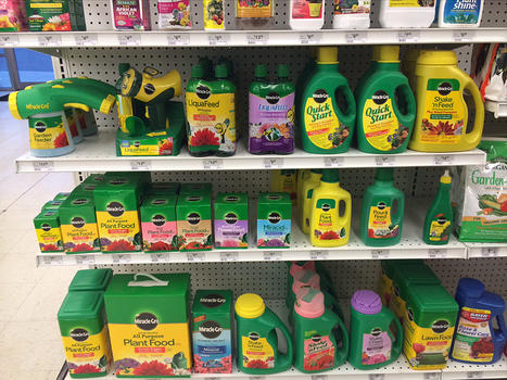 PLANT FOOD, FLOWER FOOD