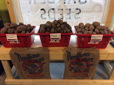 POTATOES