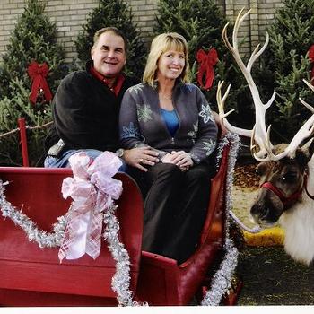 Reindeer 2012