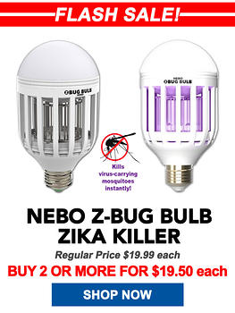 Bugs