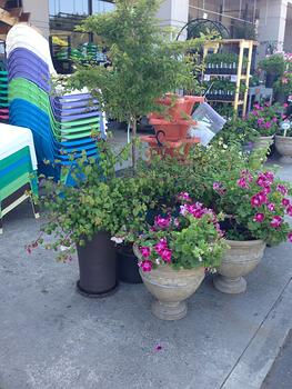 Outdoor Floral
