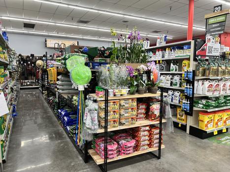 Store