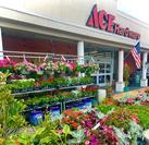 Store Front Tarpon Storefront 2026