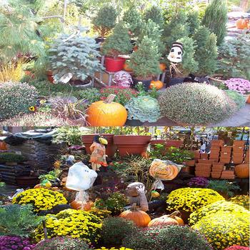 The Garden Center