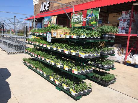 Garden Center