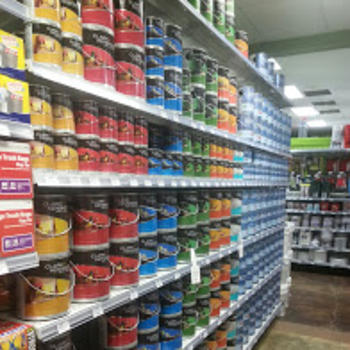 Paint