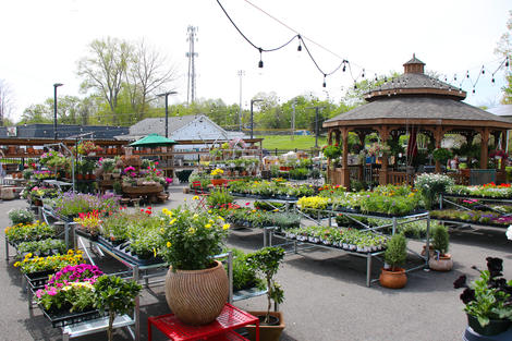 Garden Center