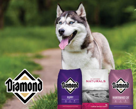 Diamond Dog Food