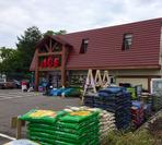 Store Front Greentree