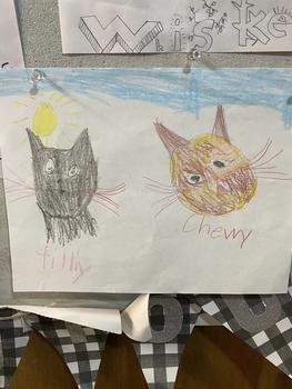 Tilly and Chewy