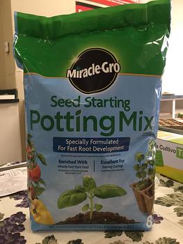 Seed Starting